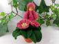 Preview: Primel rosa - Blumenkind Jahreszeitentisch Preview: Primel rosa - Blumenkind Jahreszeitentisch