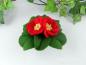 Preview: Primel rot - Blumenkind Jahreszeitentisch Preview: Primel rot - Blumenkind Jahreszeitentisch